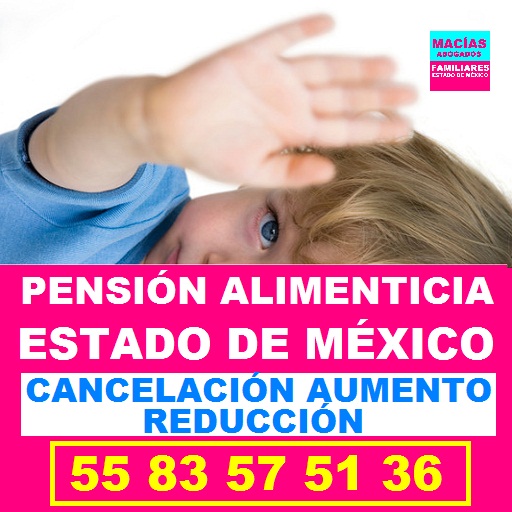 pension alimenticia estado de mexico